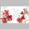 Blanche-Mericle_Letters-Cards_0011.jpg