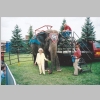 Blanche-Mericle_Kelly-Miller-Circus_Elephant_Belleville-School_0006.jpg