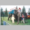 Blanche-Mericle_Kelly-Miller-Circus_Elephant_Belleville-School_0007.jpg