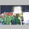 Blanche-Mericle_M-M-Dierks-Flowers-Gift_2007_0014.jpg