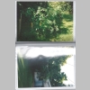 Loralees-Sm-White-Album_Bellville-Trip_1994_0013.jpg