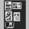 Mericle_Family-Lg-Brown-Photo-Album_1940s-1970s_Wht-Blk_0055.jpg