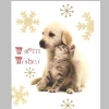 Linda-Hoyt_Christmas-Card_2013_0001.jpg