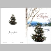 Christmas-Cards-Letters-Updates_2015-2_LAKE_Robert-Verna-Curtiss_36a.jpg