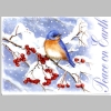 Christmas-Cards-Letters-Updates_2015_Linda-Springer-Hoyt-Elaine-Springer-Benoit_17a.jpg