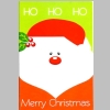 Christmas-Cards-Letters-Updates_2015_Jenifer-T-Laschen_13a.jpg