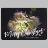 Christmas-Cards-Letters-Updates_2019_CHS_Mary-Lois-George-Grandy_01.jpg