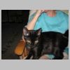 Meet-Katy-cat_Linda-Hoyts-new-cat_Dec-2010.jpg